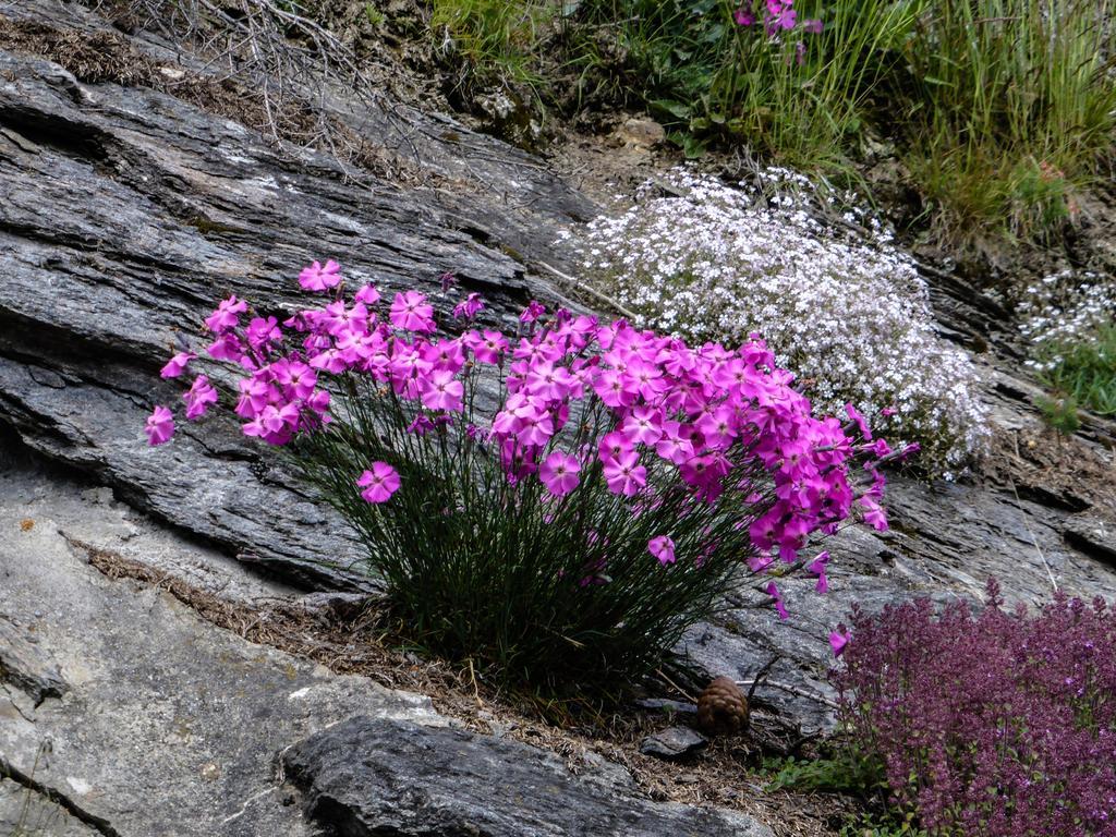 Appartementhaus Angerer - Feriendomizile Pichler Heiligenblut Luaran gambar